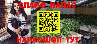 прущий лед Моздок